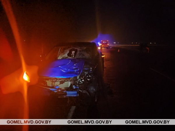 В Калинковичском районе под колесами автомобиля погиб мужчина