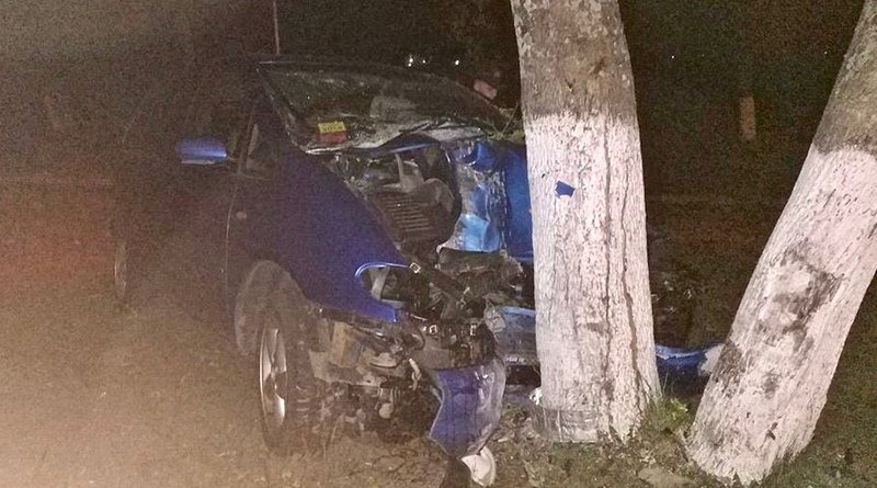 В Мозыре водитель въехал в дерево и скрылся с места ДТП